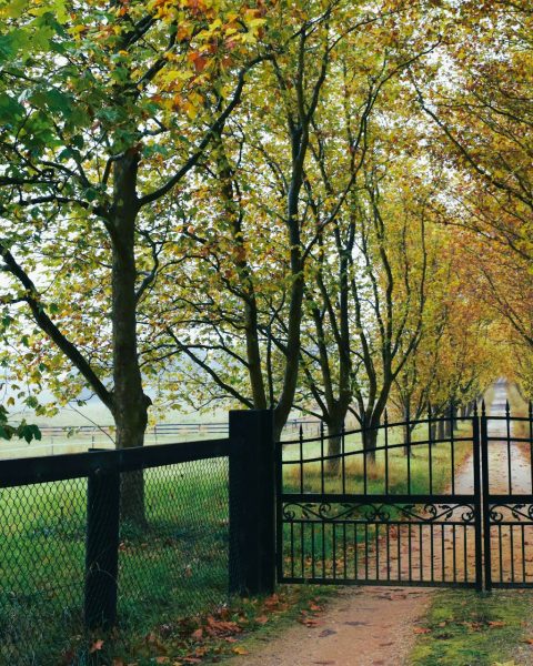 Swing Gates