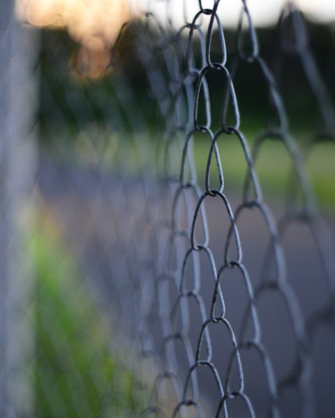 Fence and Gate Lines