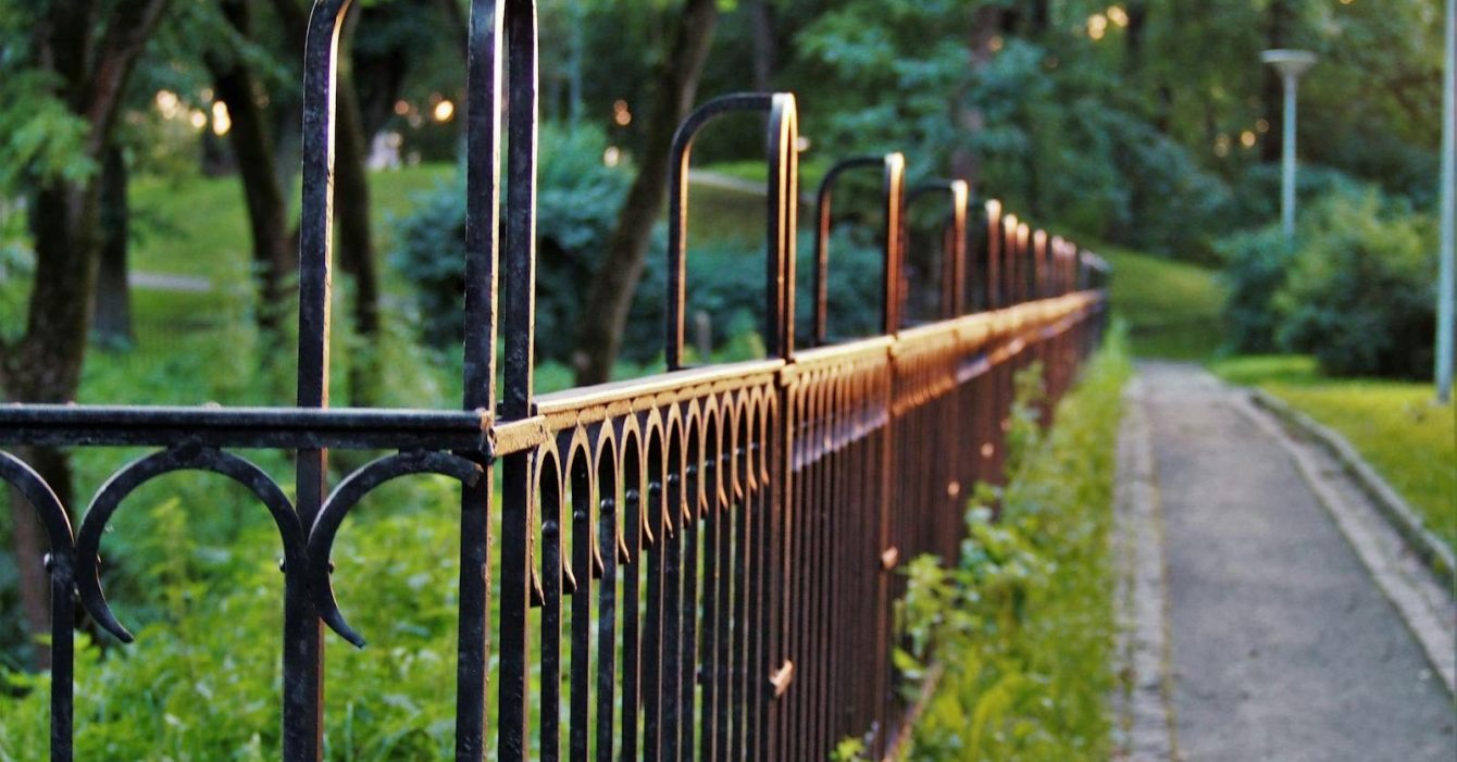 Photo by Merilin Kirsika Tedder Sunset light glimmers on metal fence in lush park pathway, creating a serene outdoor ambiance.