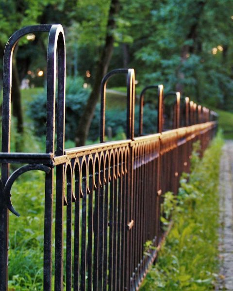 Sunset light glimmers on metal fence in lush park pathway, creating a serene outdoor ambiance.
