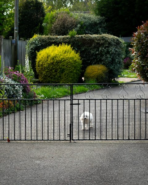 swing-gates-surrey